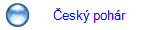 Český pohár
